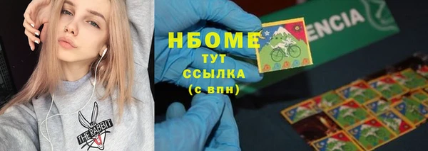 стаф Майский