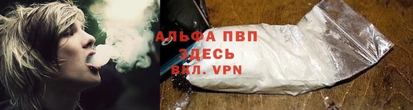 ECSTASY Лиски