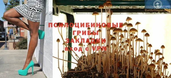 прущий лед Магас