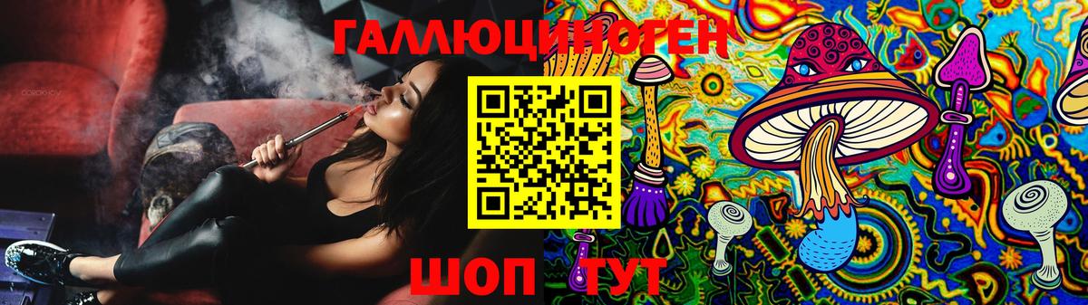 Псилоцибиновые грибы GOLDEN TEACHER  Новоалександровск 