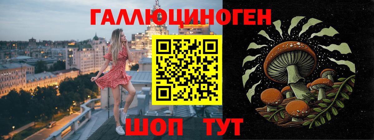 Псилоцибиновые грибы прущие грибы Новоалександровск