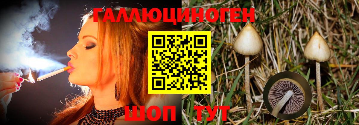 Галлюциногенные грибы прущие грибы Новоалександровск