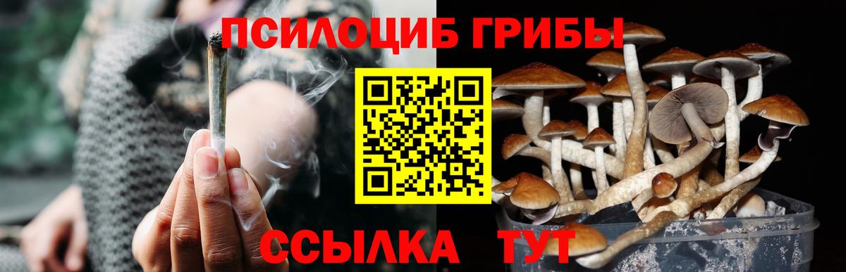 Галлюциногенные грибы Magic Shrooms  наркота  Новоалександровск  Вход с VPN  Псилоцибиновые грибы Magic Shrooms 